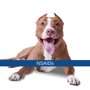 what nsaid is safe for dogs