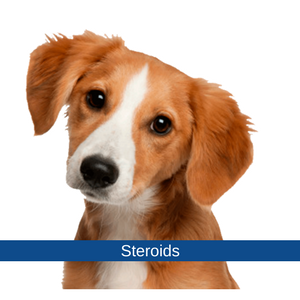 5 Things To Do Immediately About meilleur steroide oraux