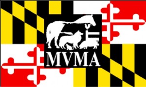 MVMA_logo.001