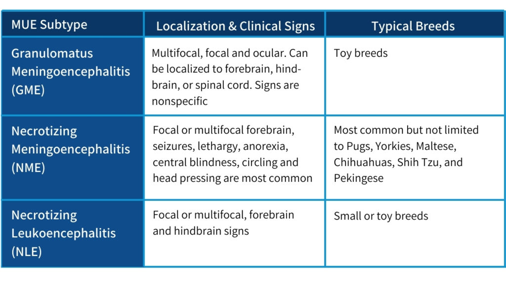 Bvns Neurotransmitter 2 0 Technically Speaking August 2020 Bush Veterinary Neurology Service